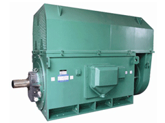 YJTFKK6303-8-1120KWY系列6KV高压电机