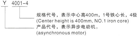 西安泰富西玛Y系列(H355-1000)高压YJTFKK6303-8-1120KW三相异步电机型号说明