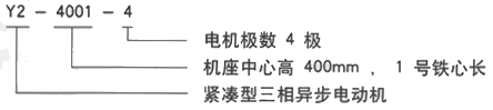 YR系列(H355-1000)高压YJTFKK6303-8-1120KW三相异步电机西安西玛电机型号说明